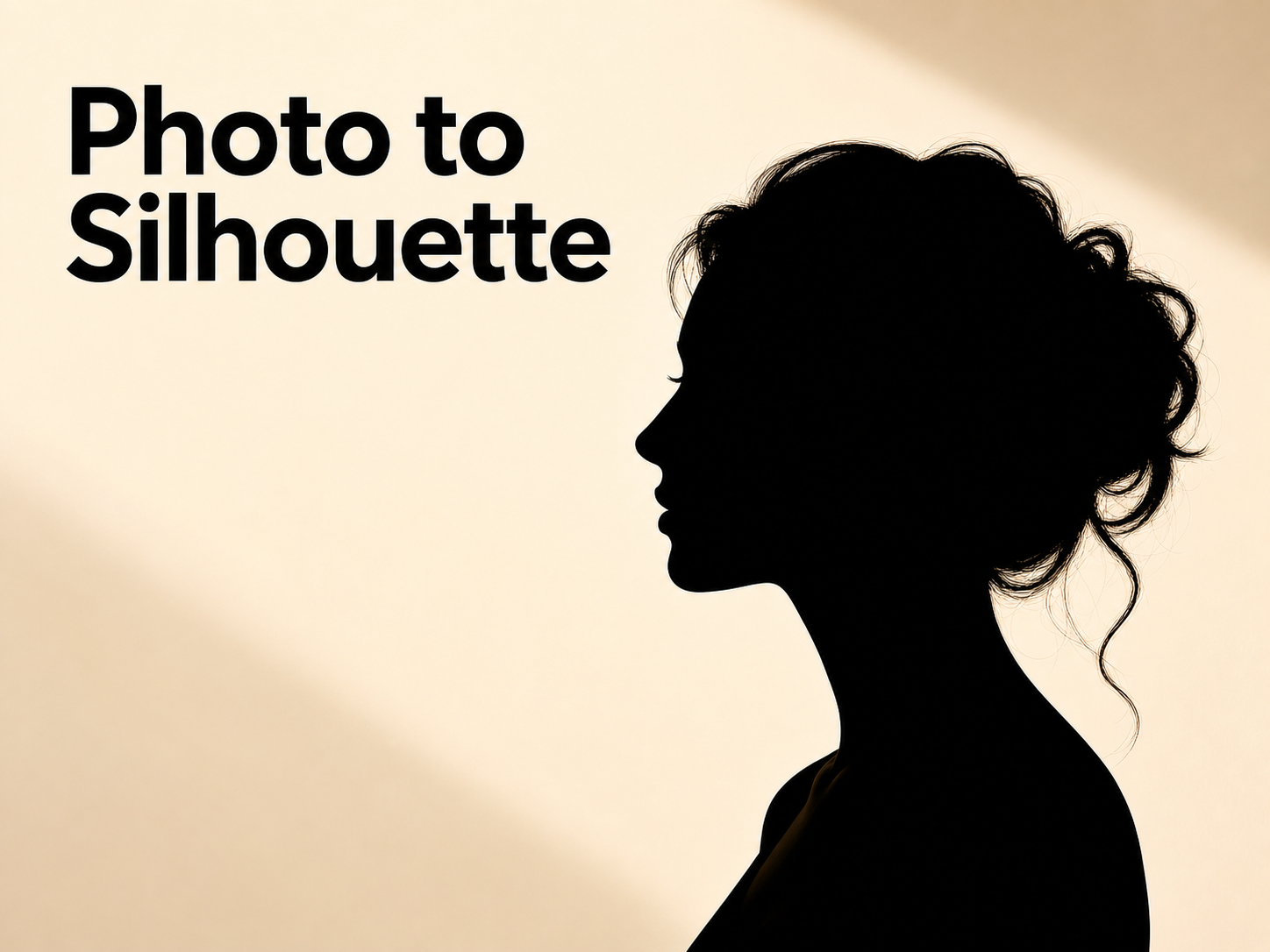 Photo to Silhouette